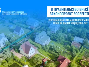 Нижегородские садоводы ждут упрощения: Росреестр работает над новым законом